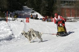 San Bernardino 2008